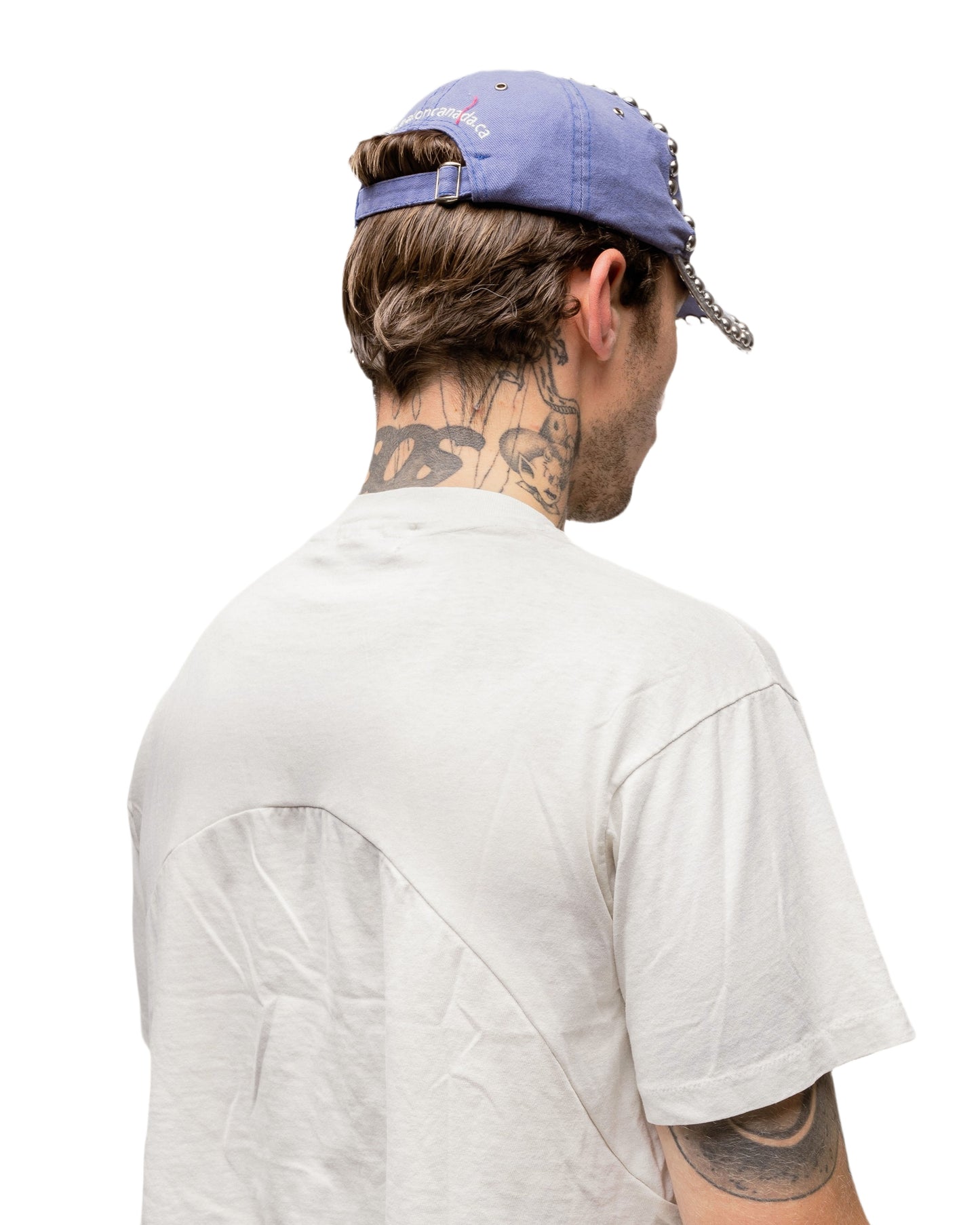 007 MFS CRUST CAP