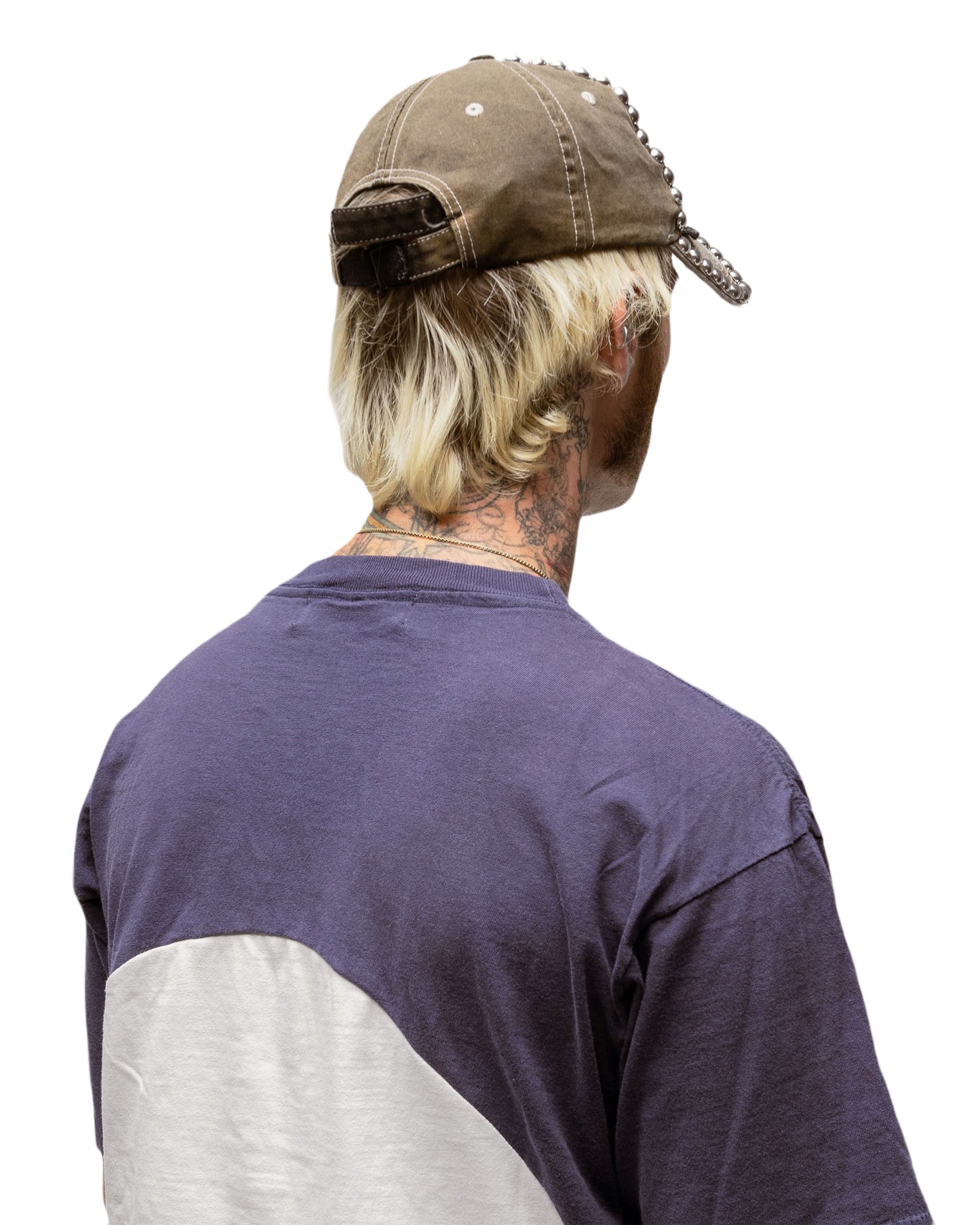 017 MFS CRUST CAP